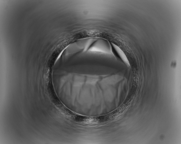 X0000098190319200805151211