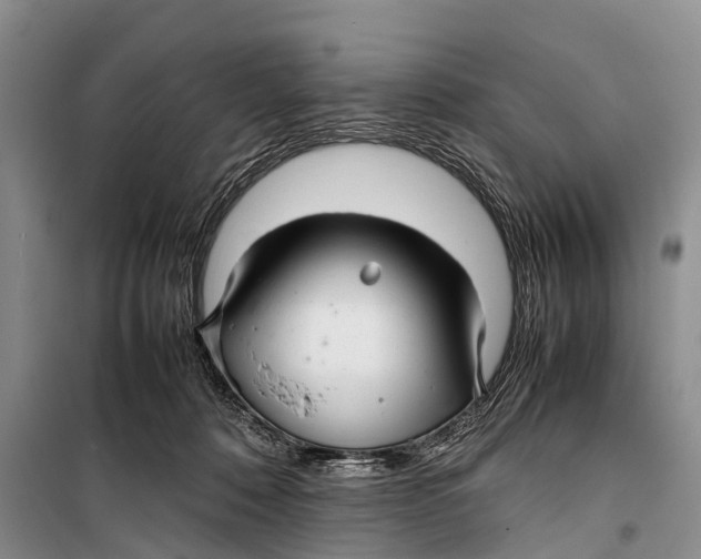 X0000098190320200805151211