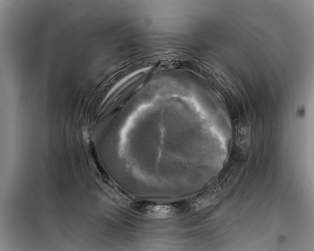 X0000098190324200805151211