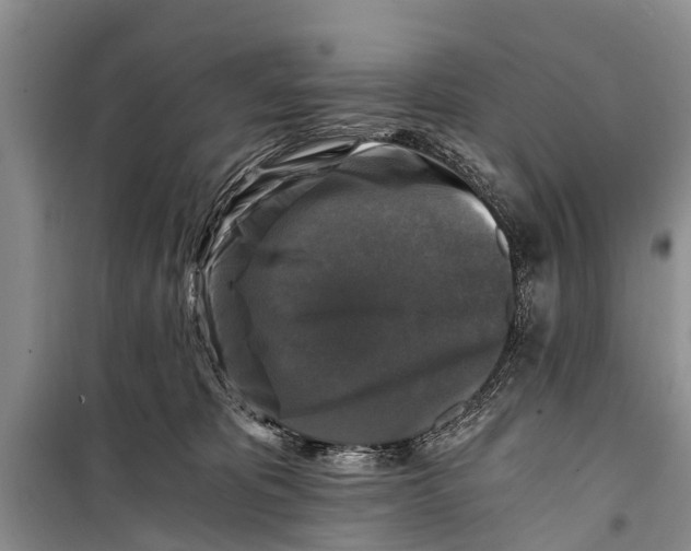 X0000098190325200805151211