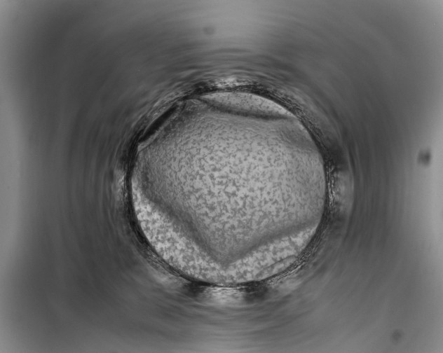 X0000098190327200805151211