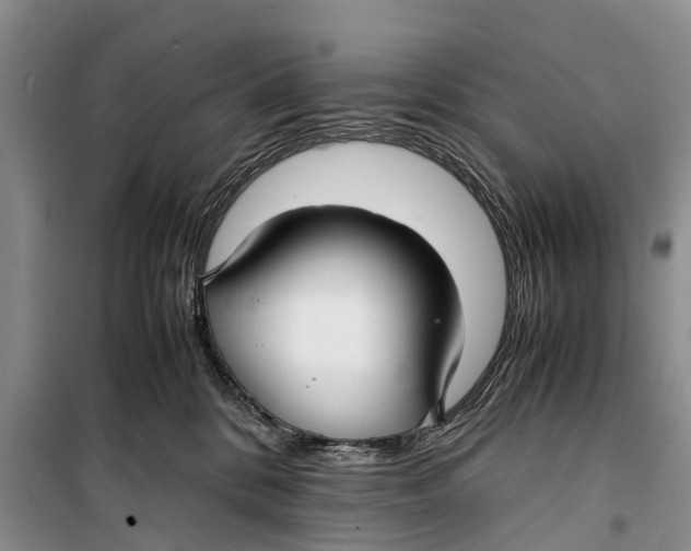 X0000098190328200805151211