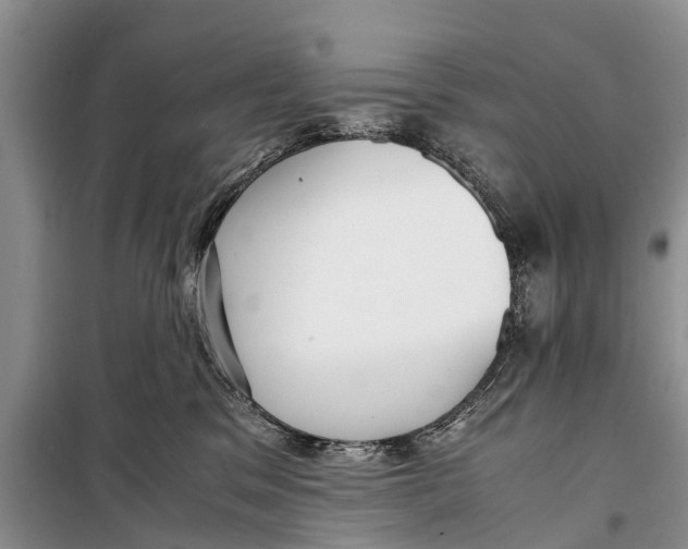 X0000098190329200805151211