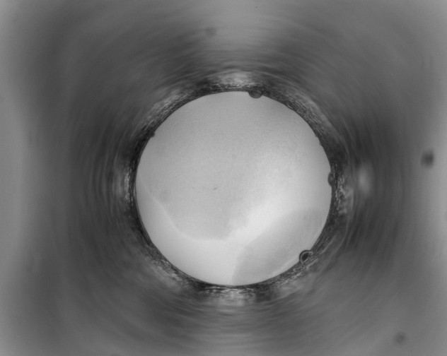 X0000098190330200805151211