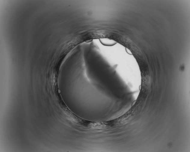 X0000098190331200805151211