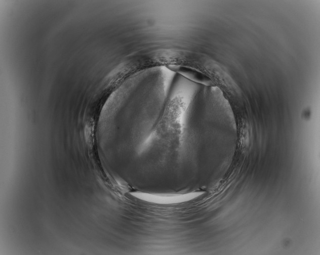 X0000098190332200805151211