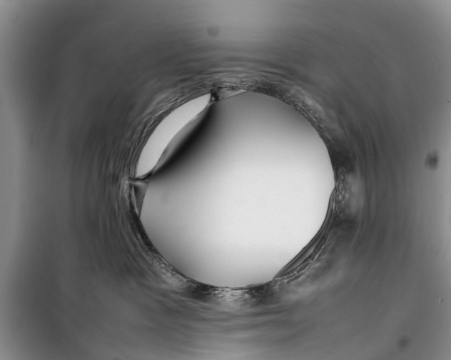 X0000098190333200805151211