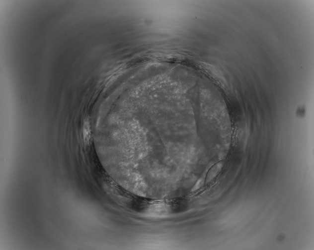 X0000098190335200805151211