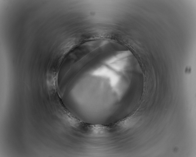 X0000098190336200805151211