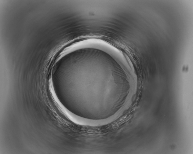 X0000098190337200805151210