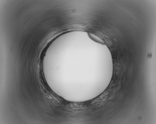 X0000098190338200805151210