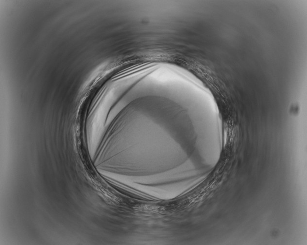 X0000098190339200805151210