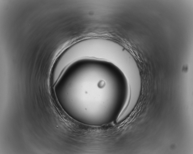 X0000098190340200805151210