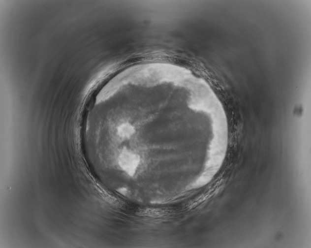 X0000098190341200805151210