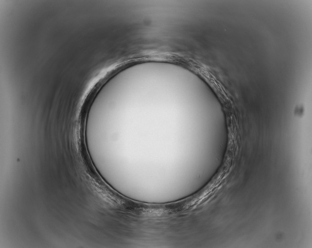 X0000098190342200805151210