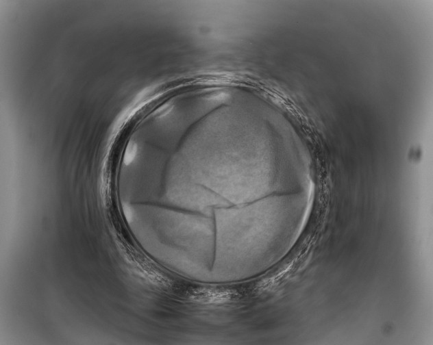 X0000098190343200805151210