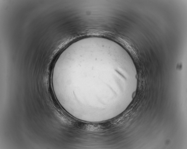 X0000098190346200805151210