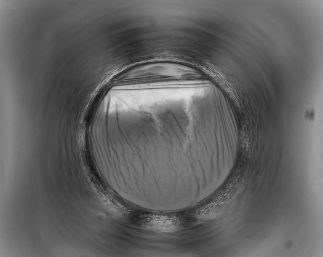 X0000098190347200805151210