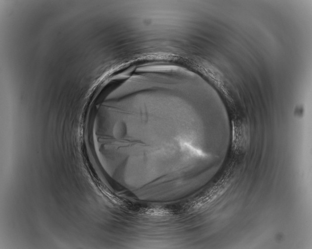 X0000098190348200805151210