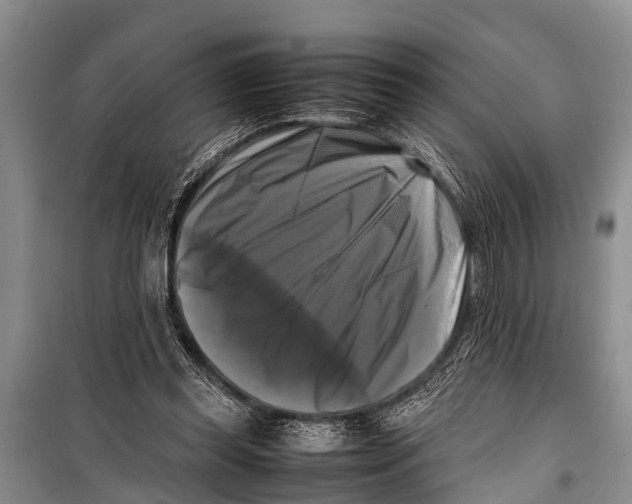X0000098190349200805151210