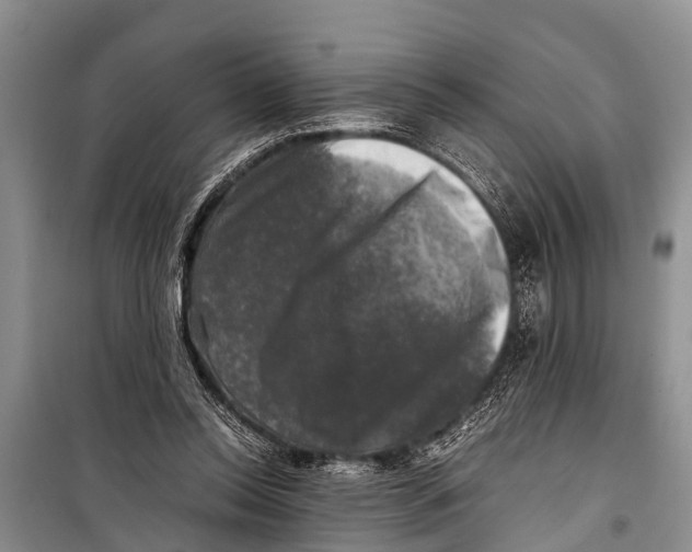 X0000098190350200805151210