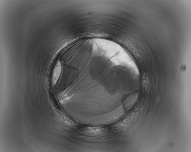 X0000098190351200805151210