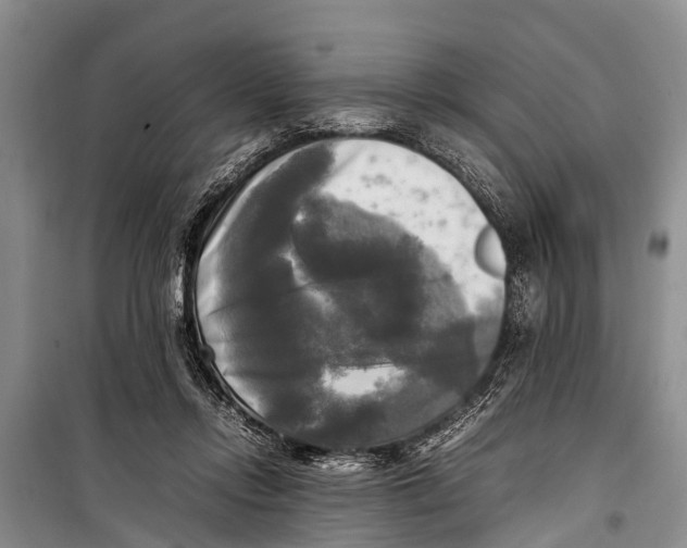 X0000098190358200805151210
