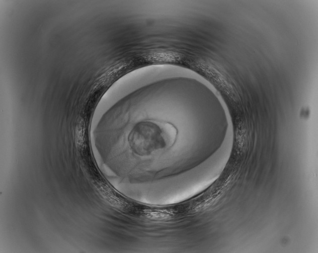 X0000098190359200805151210