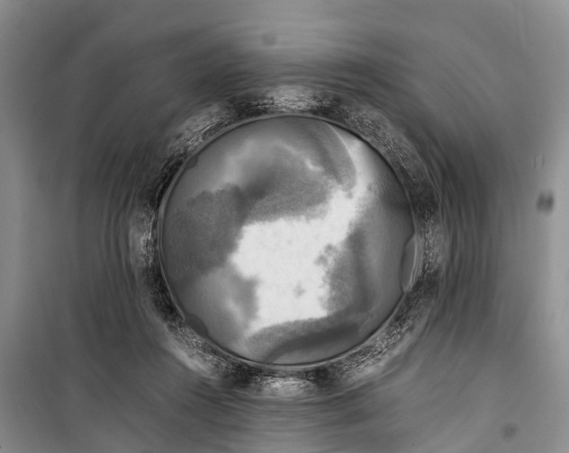 X0000098190360200805151210
