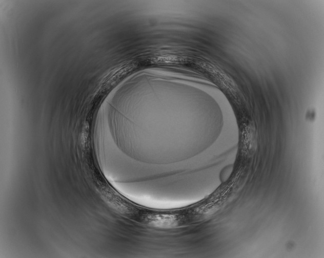 X0000098190361200805151210