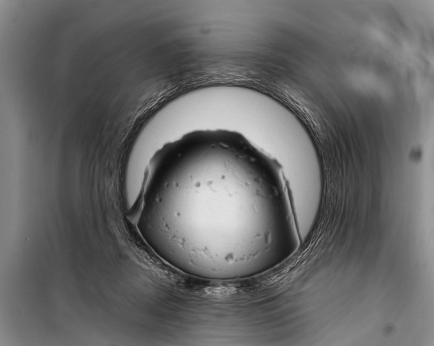 X0000098190362200805151210