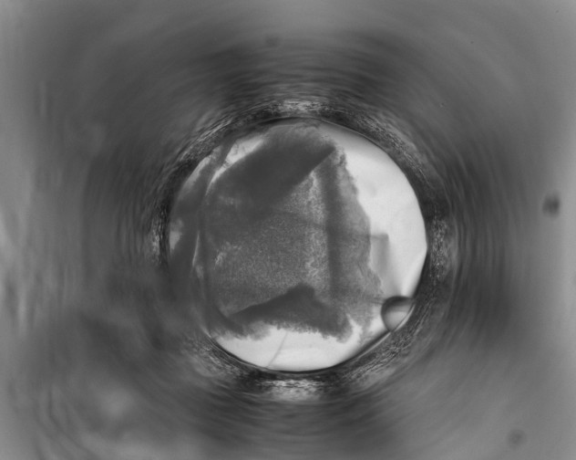 X0000098190363200805151210