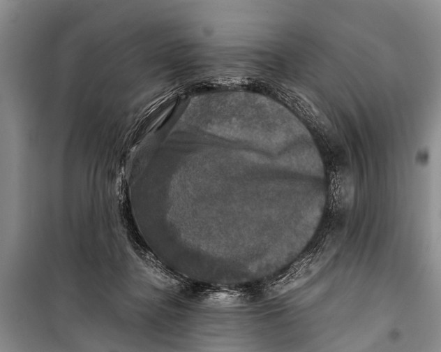X0000098190364200805151210