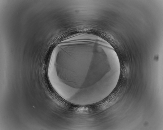 X0000098190366200805151211