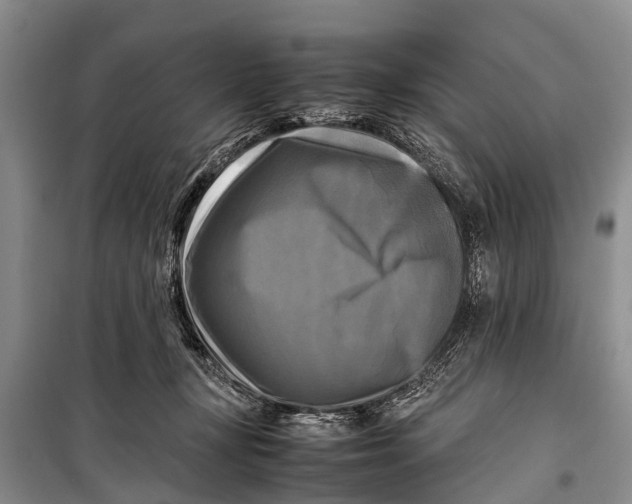 X0000098190367200805151211