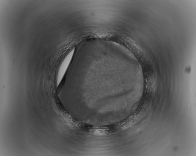 X0000098190368200805151211