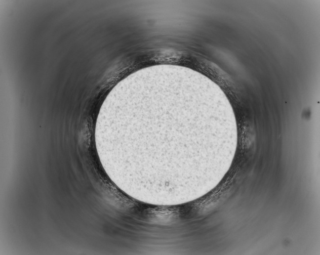 X0000098190370200805151211