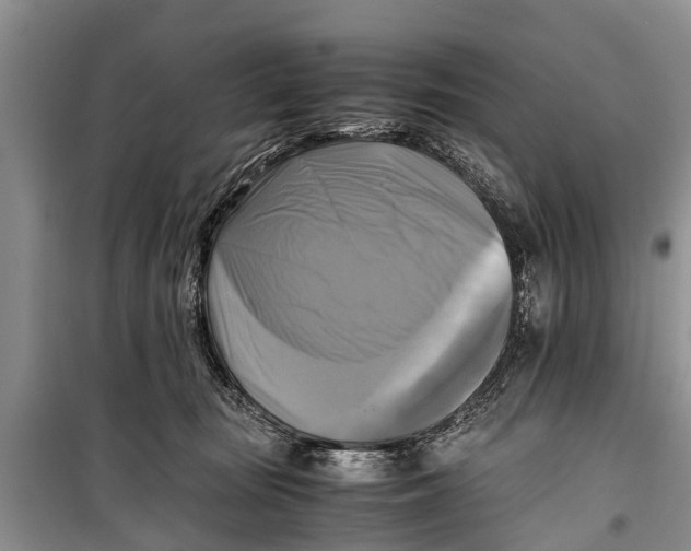 X0000098190371200805151211