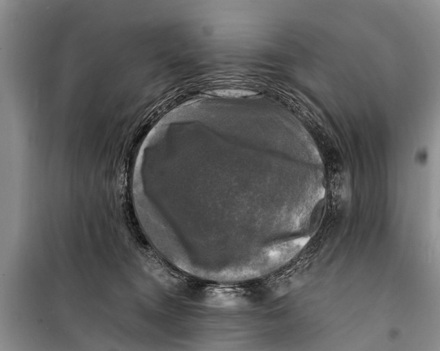 X0000098190372200805151211
