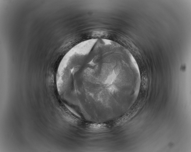 X0000098190375200805151211