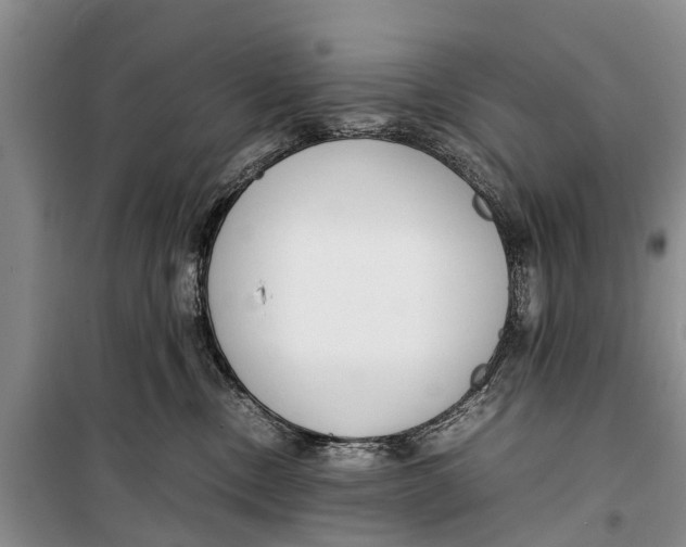 X0000098190378200805151211