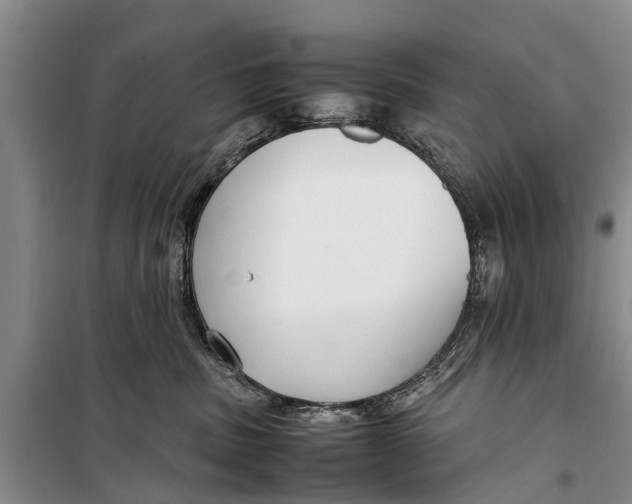 X0000098190379200805151211
