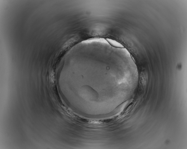X0000098190380200805151211