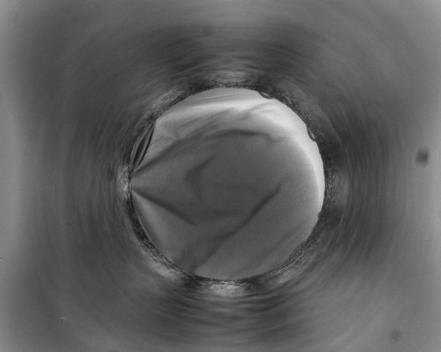 X0000098190383200805151211