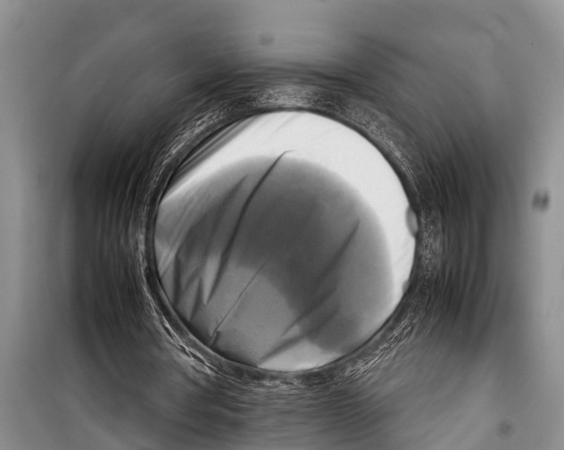 X0000098190386200805151210