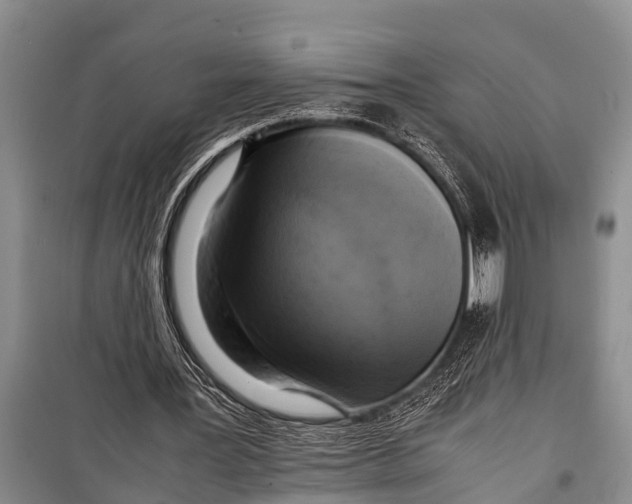 X0000098190387200805151210