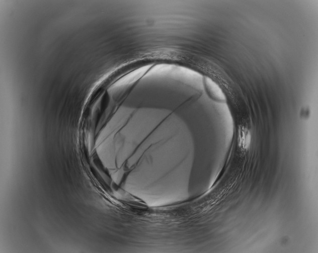 X0000098190388200805151210