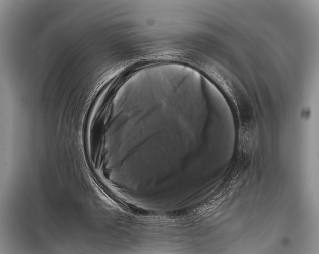 X0000098190389200805151210