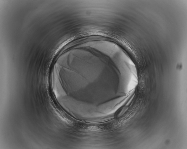 X0000098190390200805151210