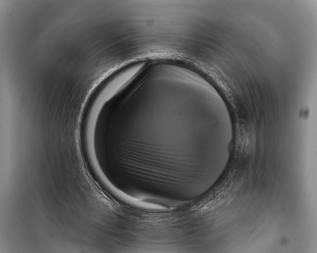 X0000098190391200805151210